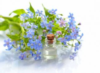Los mejores consejos para cuidar de forma sencilla y eficaz de nuestra salud Aromaterapia