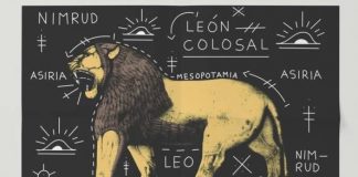 Láminas Decorativas leon de la selva