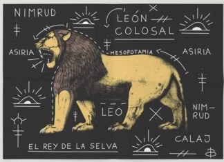 Láminas Decorativas leon de la selva