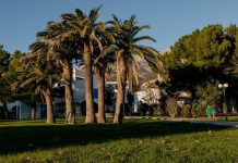 marbella y su entorno