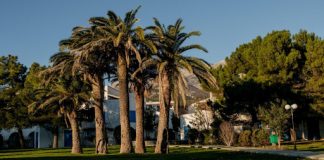 marbella y su entorno