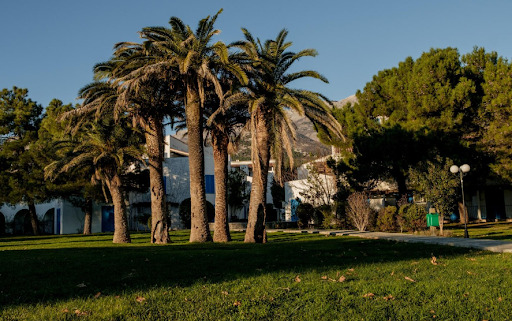 marbella y su entorno